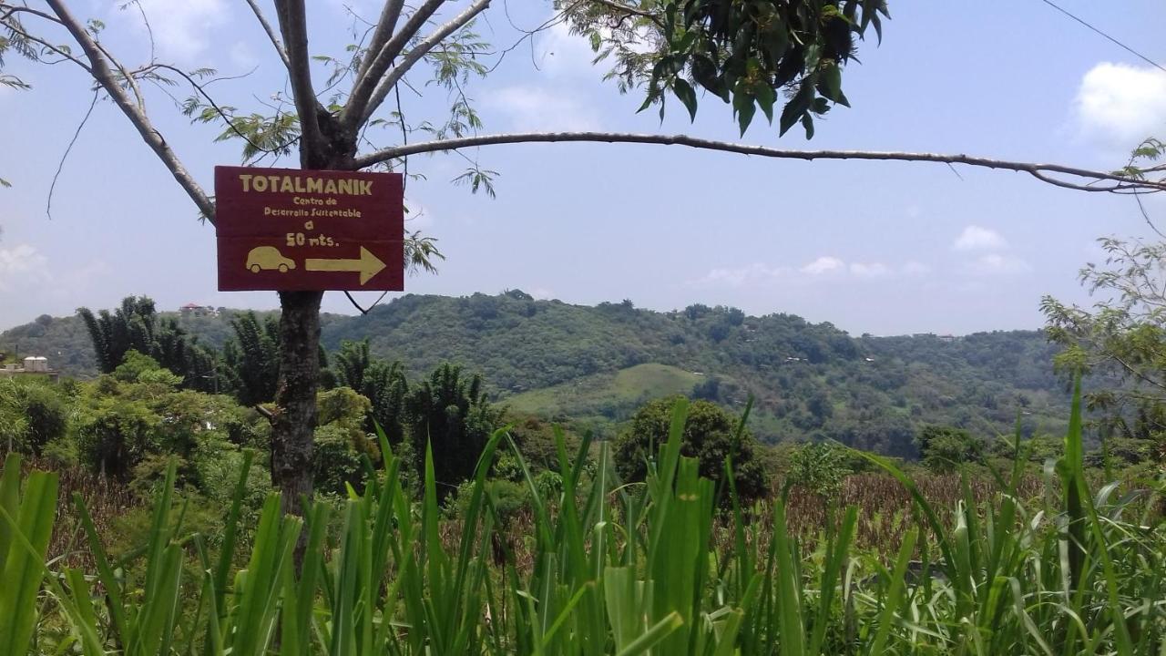 Hospedaje Totalmanik Cuetzalán del Progreso 外观 照片